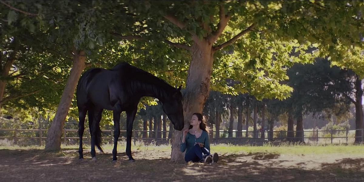 Disney predstavio prvi trailer za "Black Beauty" s Mackenzie Foy i Kate